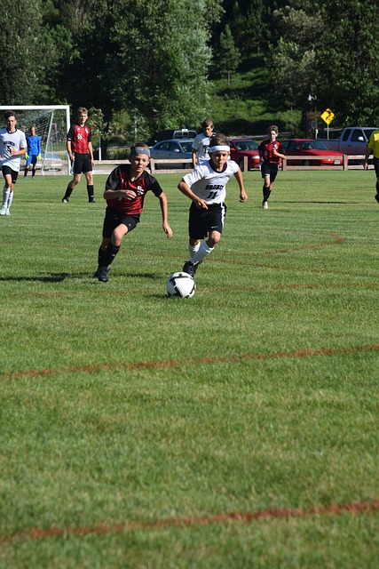 从而进一步 从而进一步